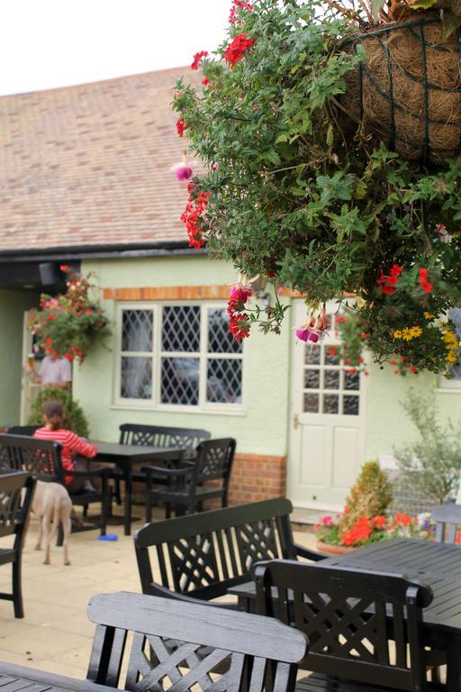 The Green Man Stanford Southill Exterior photo